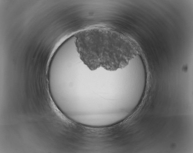 X0000114990800200912071115