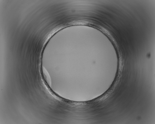 X0000114990802200912071115