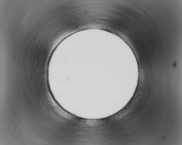 X0000114990803200912071115