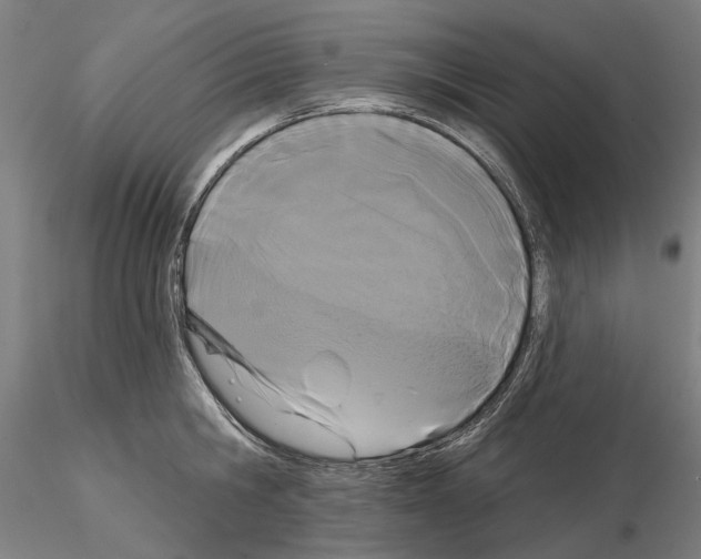 X0000114990806200912071115