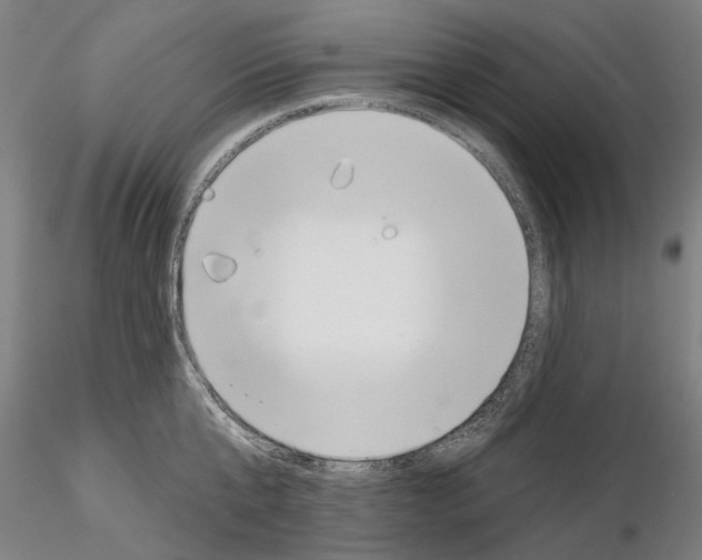 X0000114990807200912071115