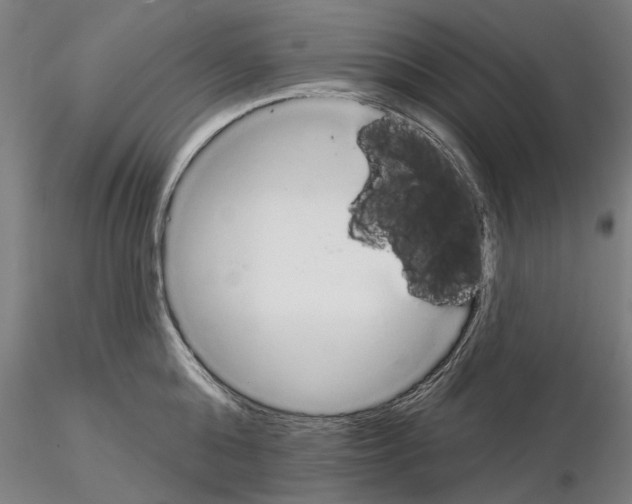 X0000114990808200912071115