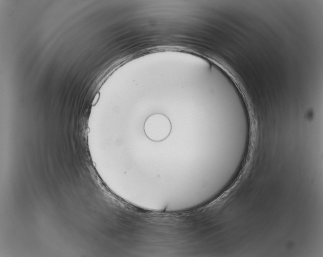 X0000114990809200912071115