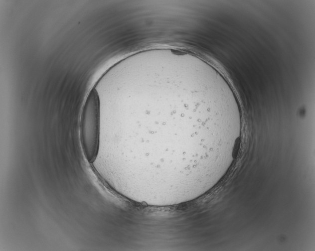 X0000114990811200912071115