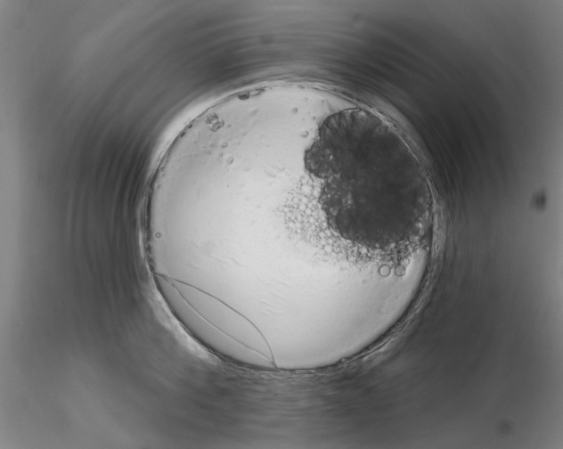 X0000114990812200912071115