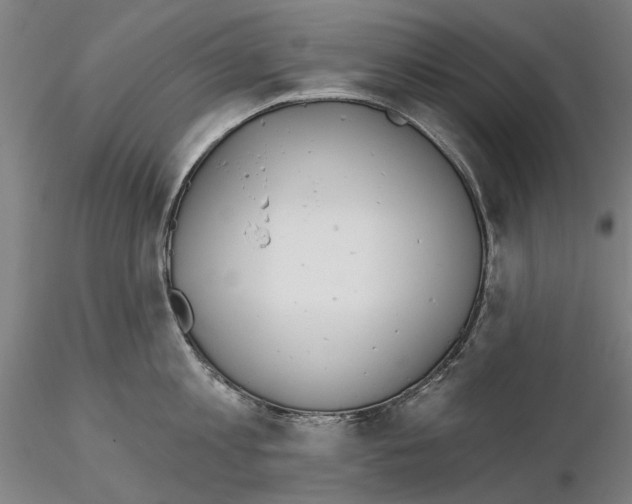 X0000114990813200912071115