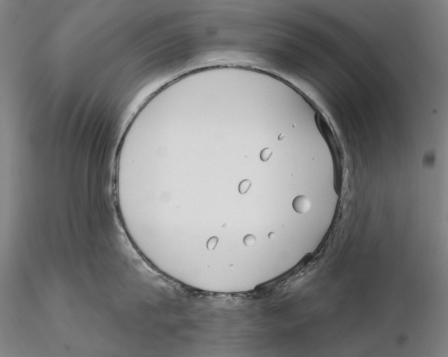 X0000114990815200912071115