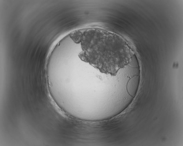 X0000114990816200912071115