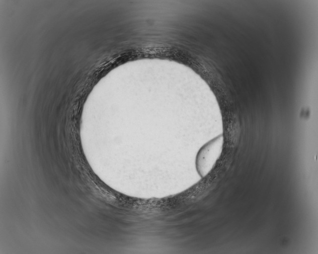 X0000114990817200912071115