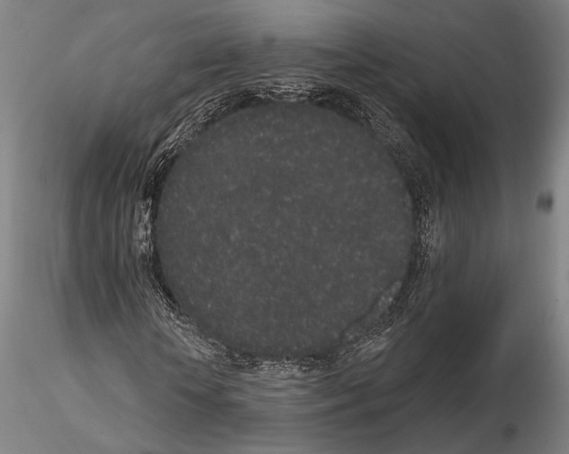 X0000114990818200912071115