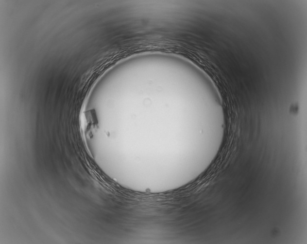 X0000114990820200912071115