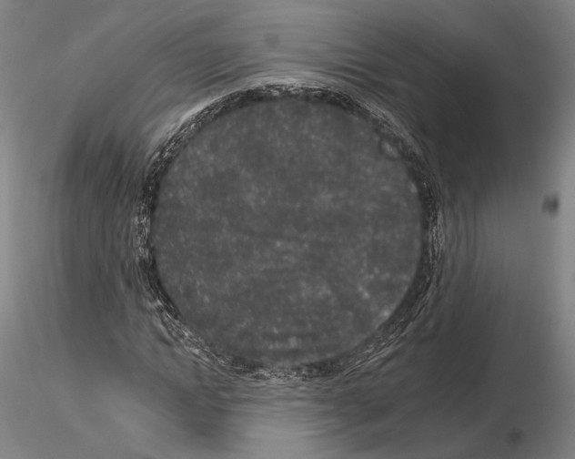 X0000114990822200912071115