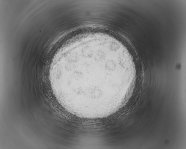 X0000114990823200912071115