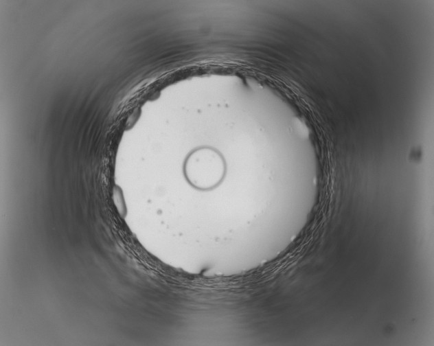 X0000114990824200912071115