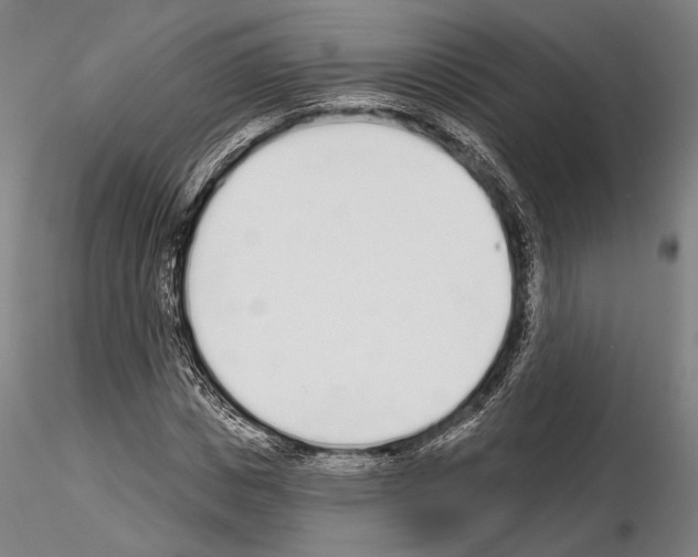 X0000114990825200912071115