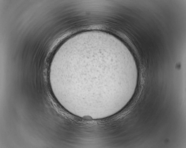 X0000114990827200912071115