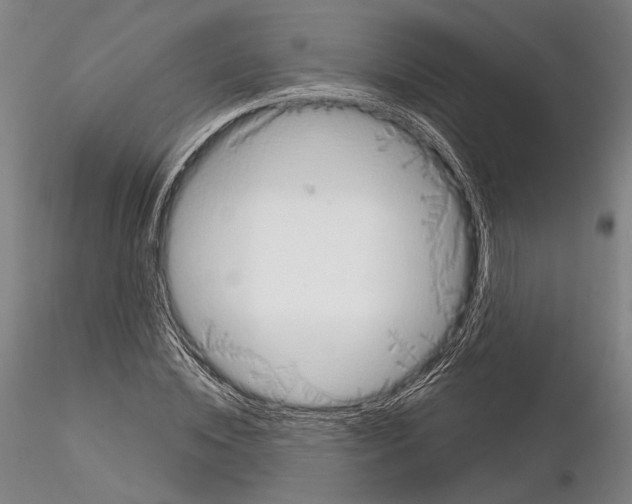 X0000114990828200912071115