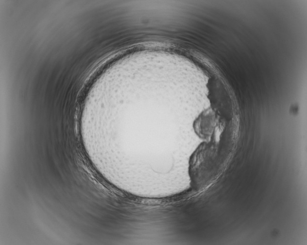 X0000114990829200912071115