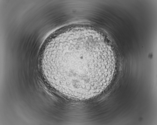 X0000114990830200912071115