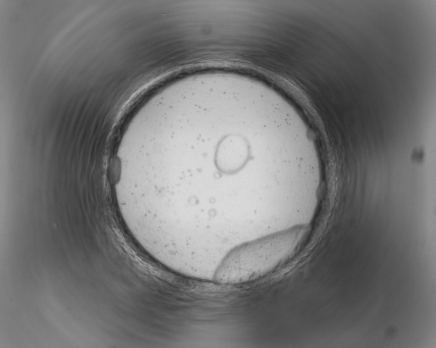 X0000114990831200912071115