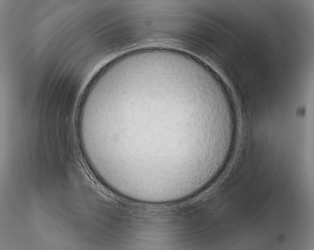 X0000114990832200912071115