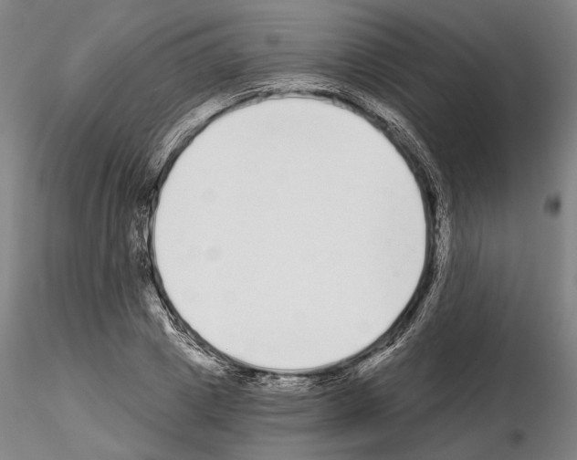 X0000114990833200912071115