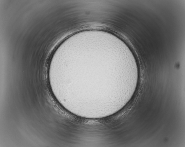 X0000114990835200912071115