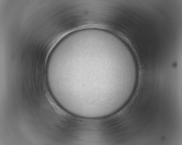 X0000114990836200912071115