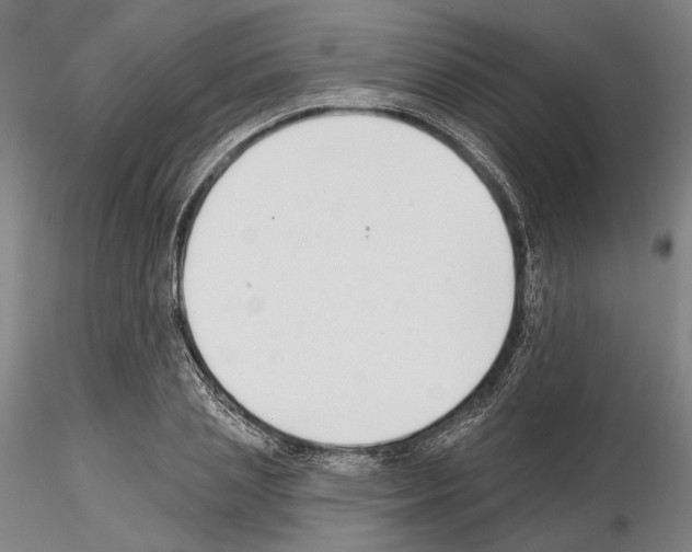 X0000114990837200912071115