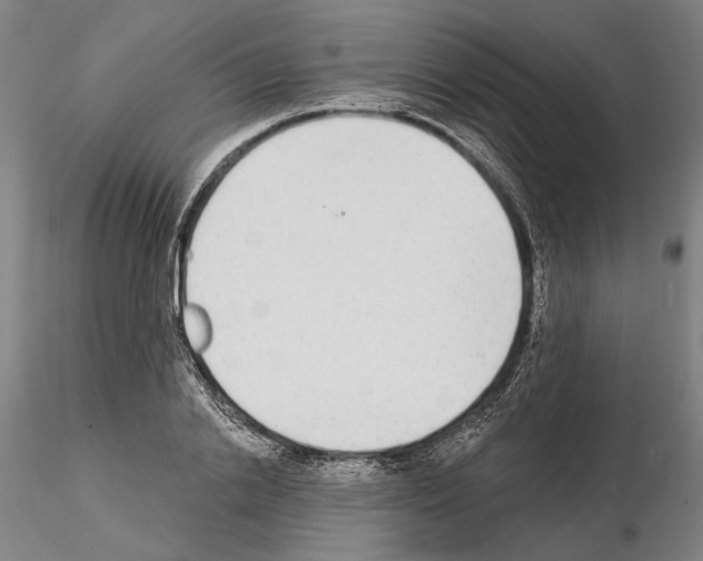 X0000114990838200912071115