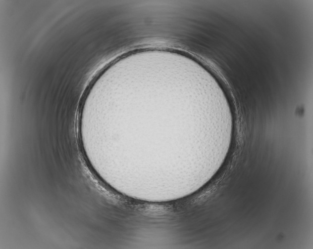 X0000114990839200912071115