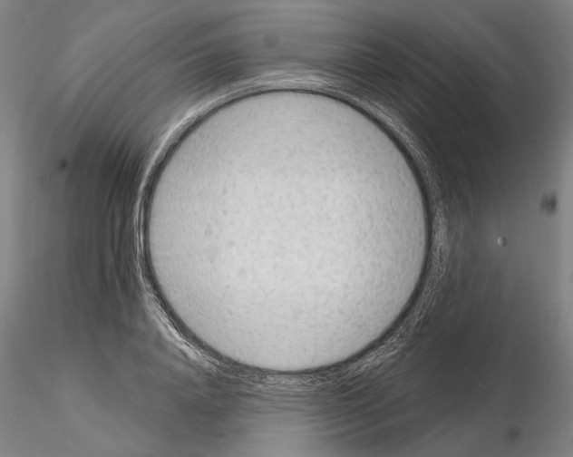 X0000114990840200912071115