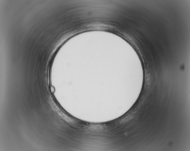 X0000114990843200912071115