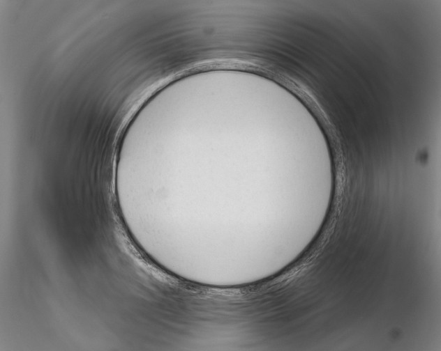 X0000114990844200912071115