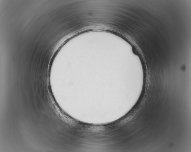 X0000114990845200912071115