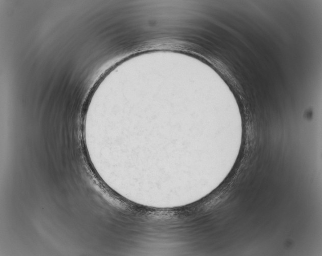 X0000114990846200912071115