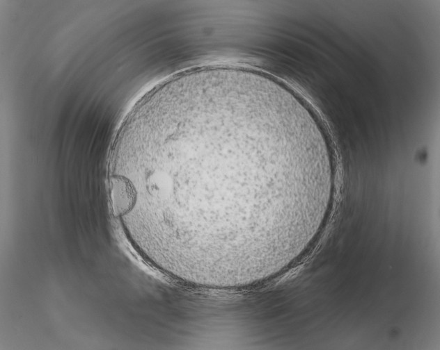 X0000114990848200912071115