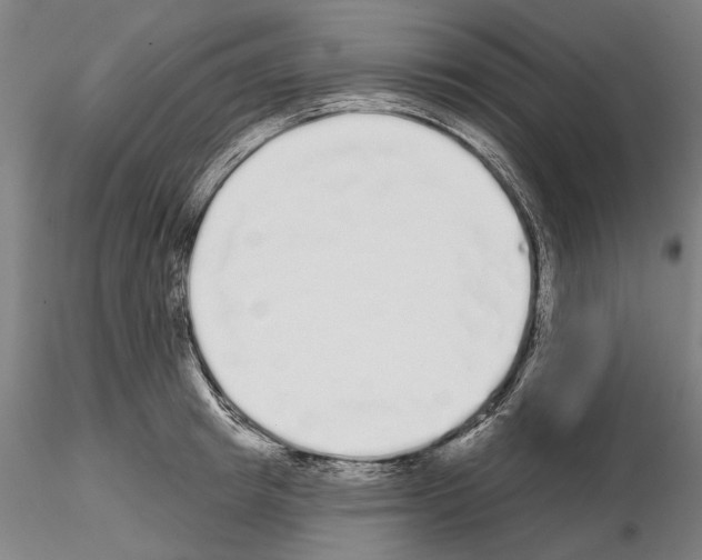 X0000114990849200912071115