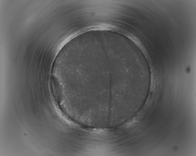 X0000114990850200912071115