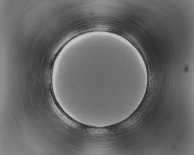 X0000114990851200912071115