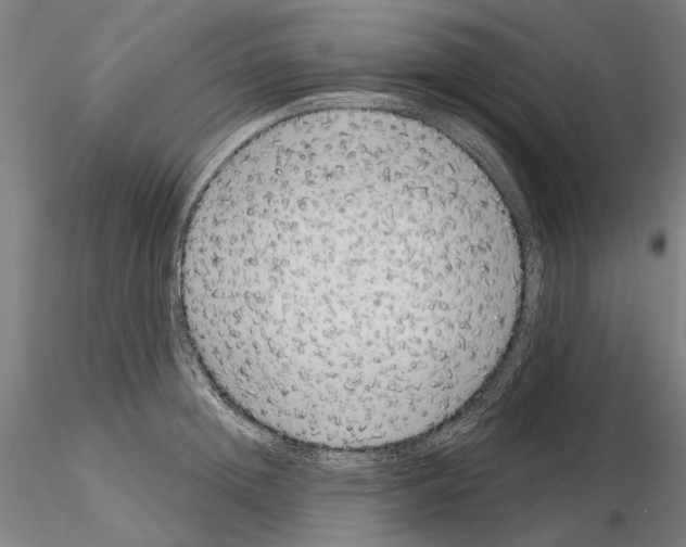 X0000114990852200912071115