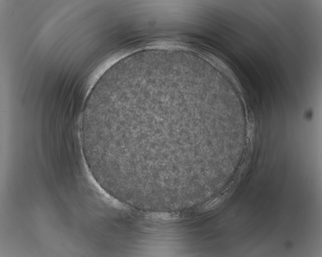 X0000114990855200912071115