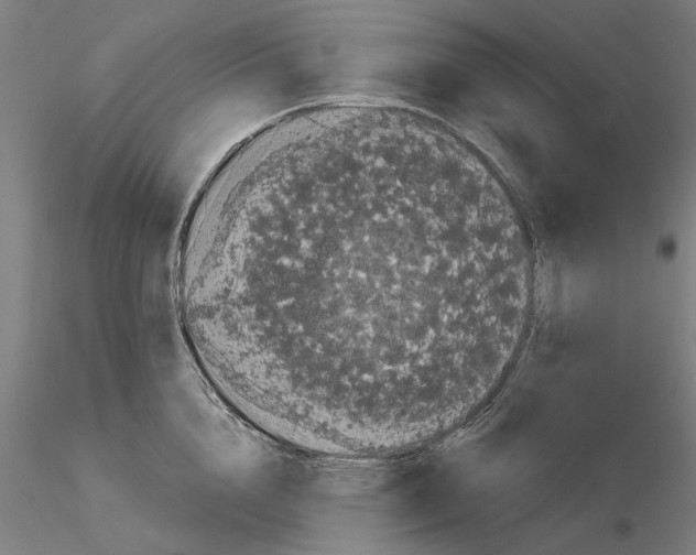 X0000114990856200912071115