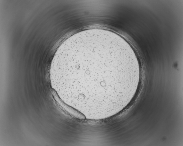 X0000114990857200912071115