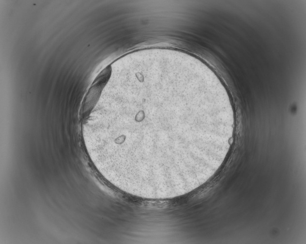 X0000114990858200912071115