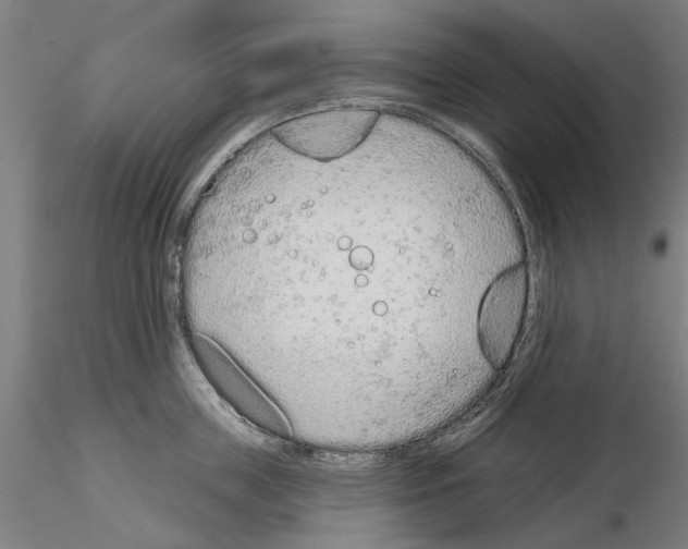 X0000114990859200912071115