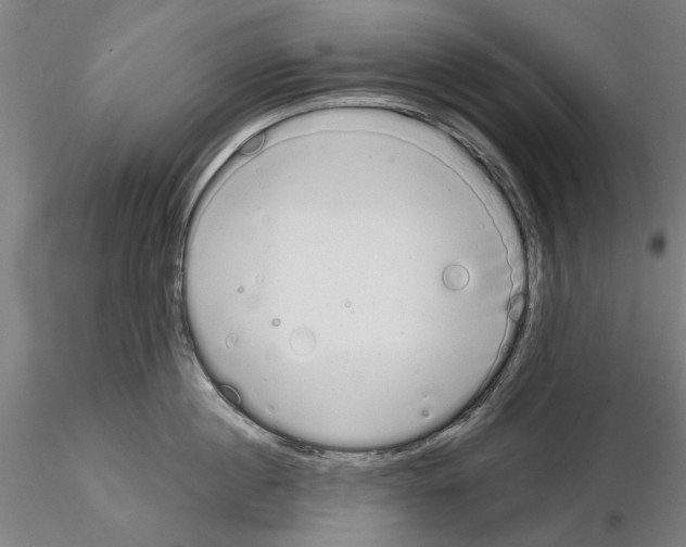 X0000114990860200912071115