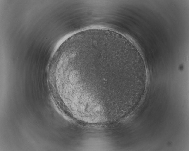 X0000114990862200912071115