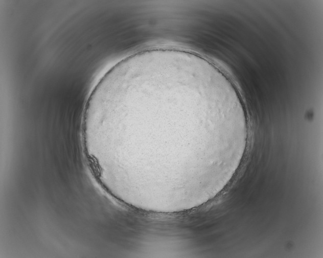 X0000114990863200912071115