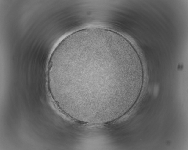 X0000114990864200912071115